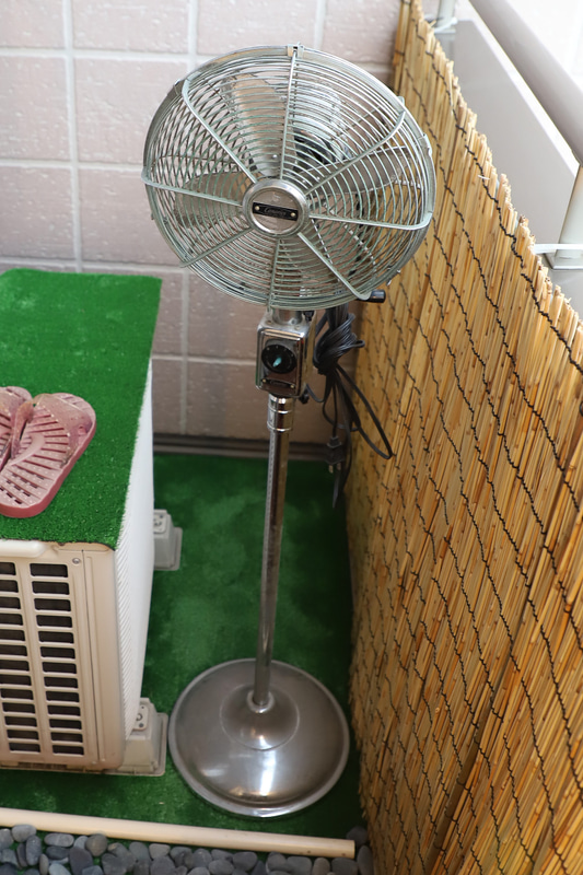 スイッチが壊れて押し入れにしまっていたアンティーク調扇風機（写真左）。粗大ごみに出される運命にあったが現役復帰させた。スイッチは秋葉原の電子パーツ専門店の通販で入手し、半日かけて修理してがんばって磨いた（写真右）