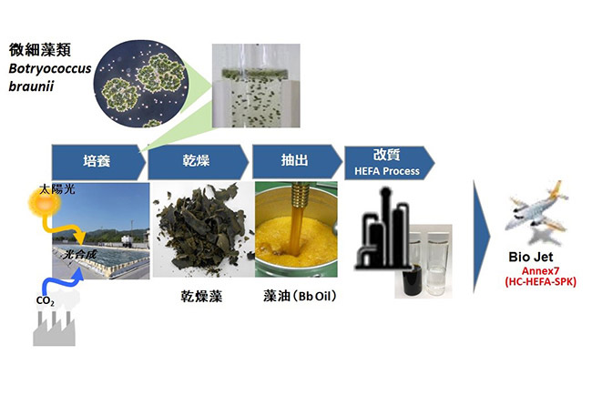 IHIとNEDOが、事業を進めるバイオジェット燃料の国際規格認証取得