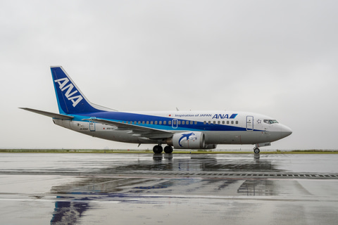 ANAのボーイング 737-500型機「スーパードルフィン」がラストフライト