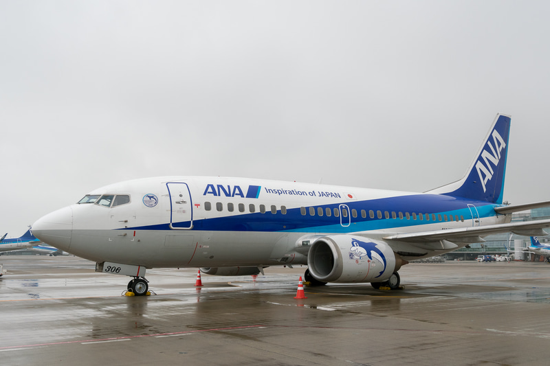 ANAグループのボーイング 737-500型機「スーパードルフィン」。最終号機となった登録記号「JA306K」の機体