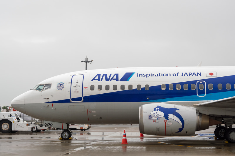 「JA305K」「JA306K」「JA307K」にはラストフライトに向けての特別デカールが貼られた