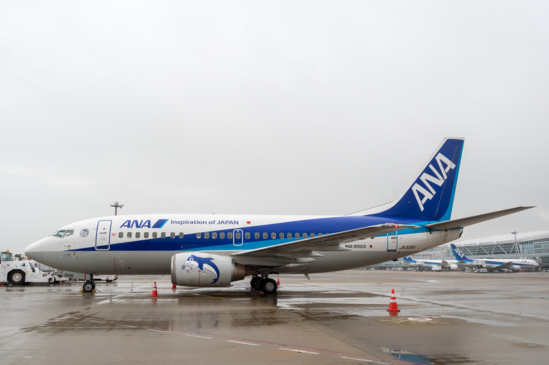ボーイング 737-500型機は、ギア（着陸装置）の高さに対して大きなエンジンを搭載したため、エンジンカウルが扁平型になっているのも同機の特徴