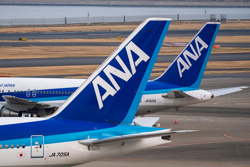 ANAは7月の国内線運休/減便計画を発表した
