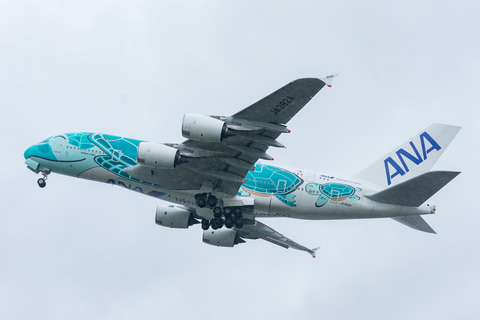 ANAのエアバス A380型機「フライング・ホヌ」が約3か月ぶりに空へ