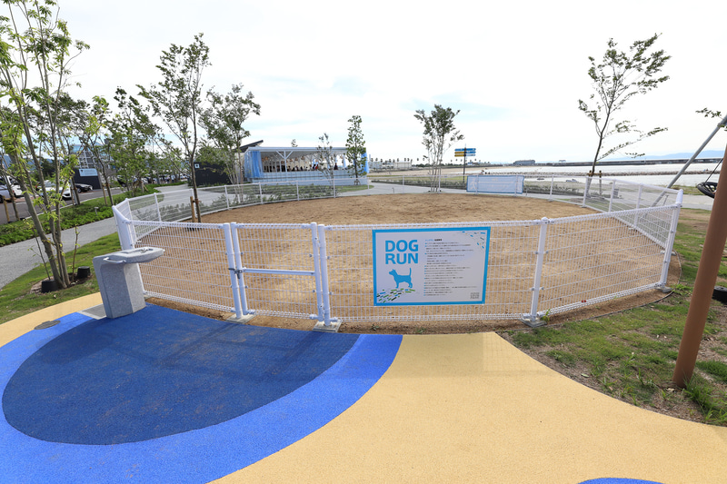 ファミリーで楽しめる公園。遊具、ドッグランもあり、すでに地元の人々の憩いの場となっているそう