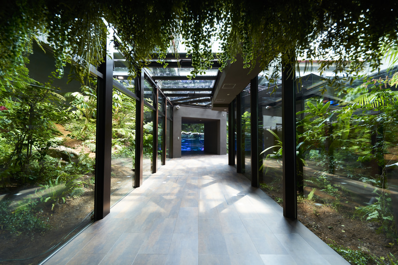 「カワスイ 川崎水族館」が7月17日に開業する