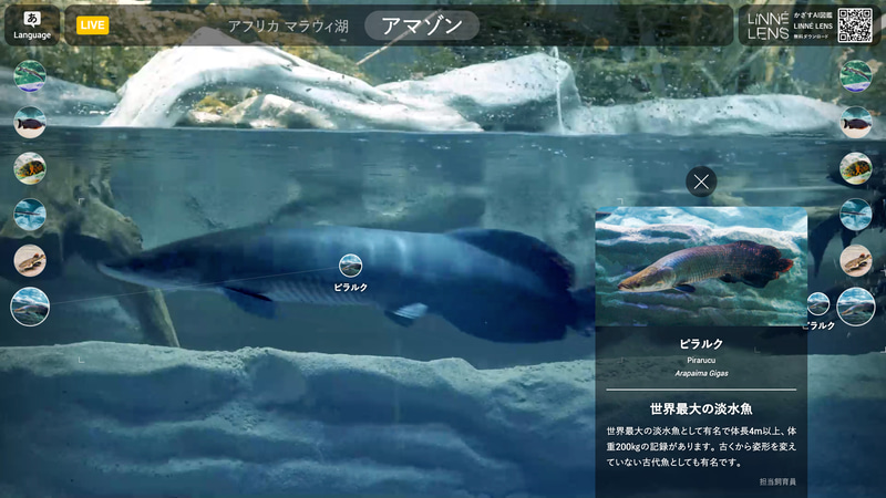 水中ライブカメラを使用し水槽内の生き物のリアルタイムAI解析映像を展示