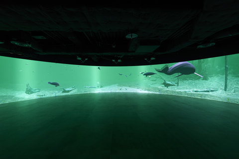 カワスイ 川崎水族館 7月17日開業 照明 音響 映像技術で多摩川やアマゾンなど世界の水辺を散歩 トラベル Watch