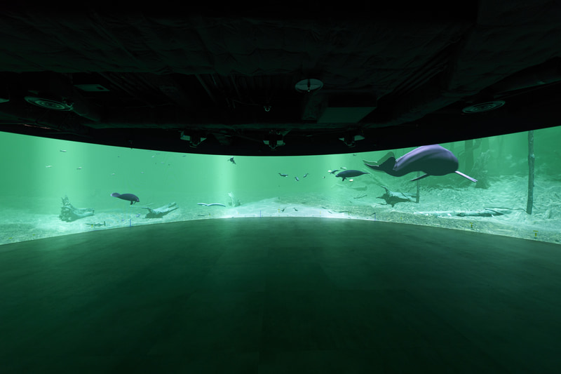 デジタル動物システムの常設展示