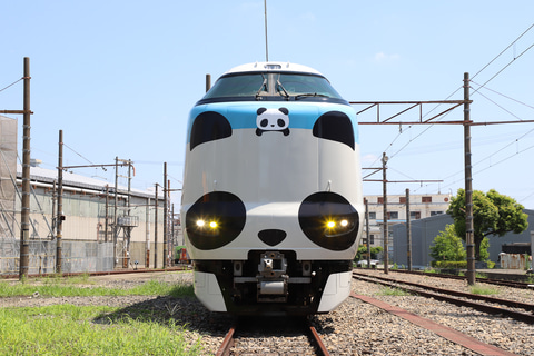 紀勢本線の パンダくろしお が2編成に 2020年春以降は1編成の運用を固定化 レスポンス Response Jp