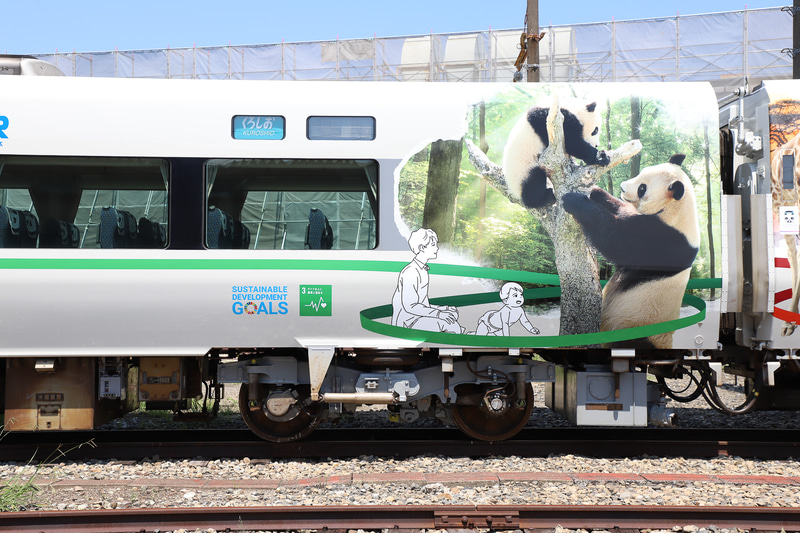 車両全体をジャイアントパンダのイメージで統一した1号車（クモロハ286-11）