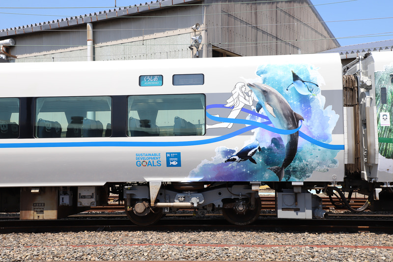 海の生物と人間が寄り添うイメージの5号車（モハ286-14）
