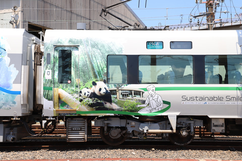 特急 パンダくろしお 3編成目は親子パンダ Jr西日本が サステナブルsmileトレイン 車両公開 7月23日運行開始 トラベル Watch