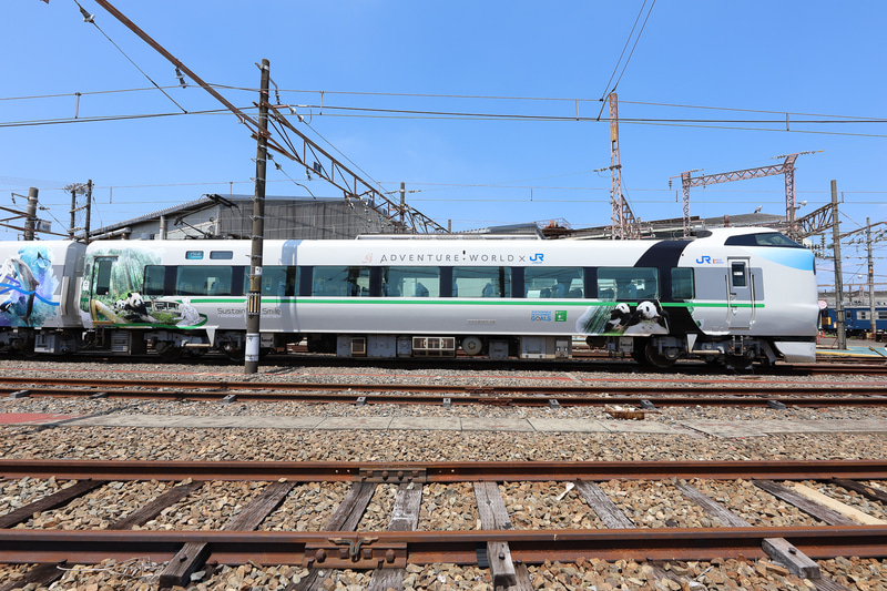 テーマは「陸の豊かさを守ろう」。イメージカラーは“LIME GREEN”