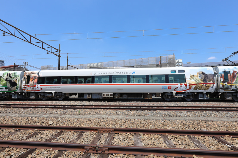 SDGsの目標の1つ「ジェンダー平等を実現しよう」のアイコンと、イメージカラーである“RED ORANGE”のリボン