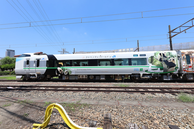 SDGsの目標の1つ「すべての人に健康と福祉を」のアイコン。イメージカラーの“KELLY GREEN”のリボンでまとめた