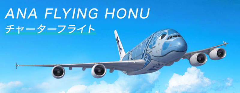 FLYING HONUチャーターフライト