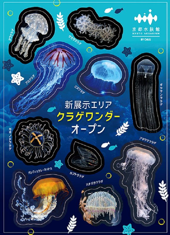 「京都水族館」は15時以降の来館でノベルティをプレゼントしている