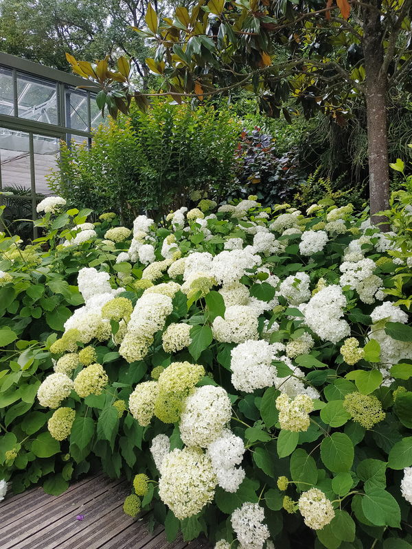 フェスティバル会場。ベンチに座って持参したお昼を食べる人も