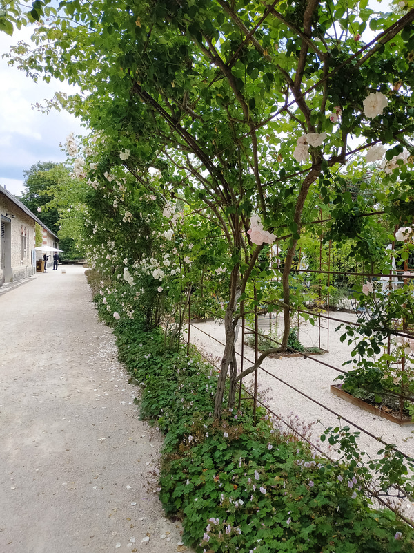 フェスティバル会場。ベンチに座って持参したお昼を食べる人も