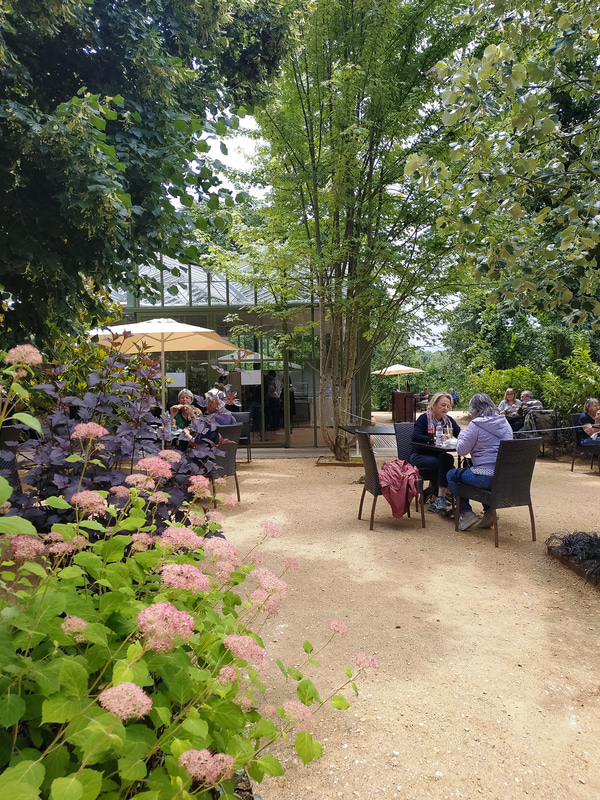 ケーキを買ったら型にお城のマークが入っていました