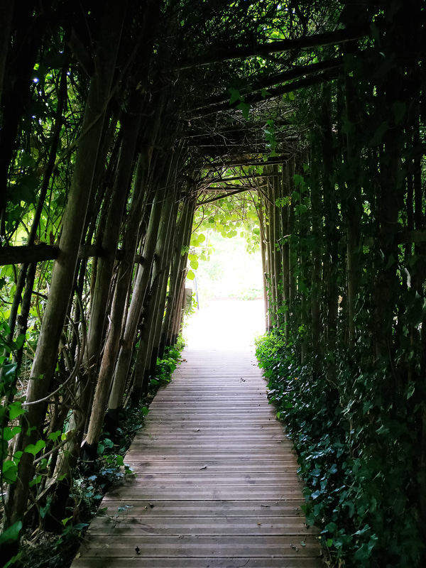 遠くに鳥居らしきものが（写真最下段右）。もしかするとあの辺りが日本庭園？
