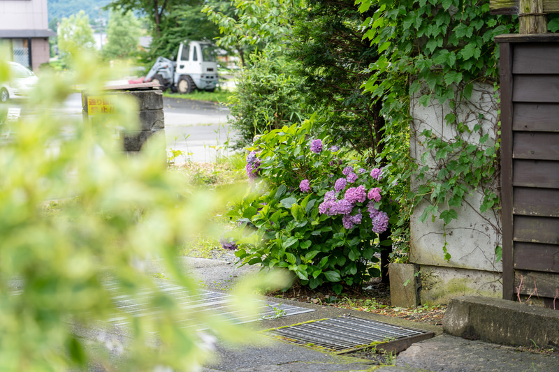 フォトジェニックな光景も