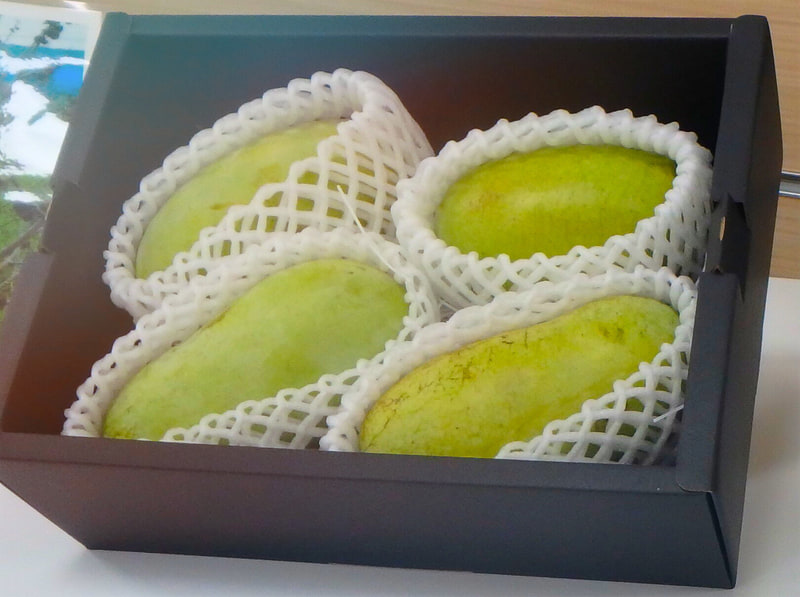 幻の果実ポポー（4860円）