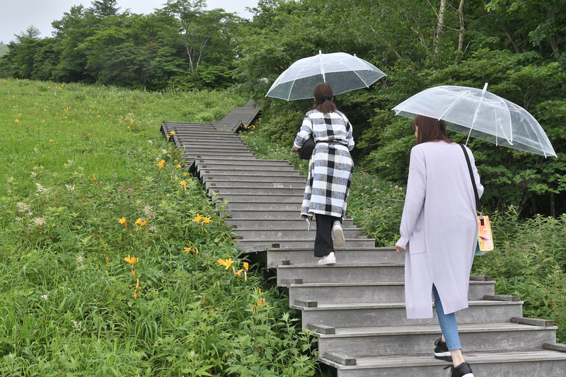 小雨がパラパラと。全体が霧に包まれる前に登らなきゃ