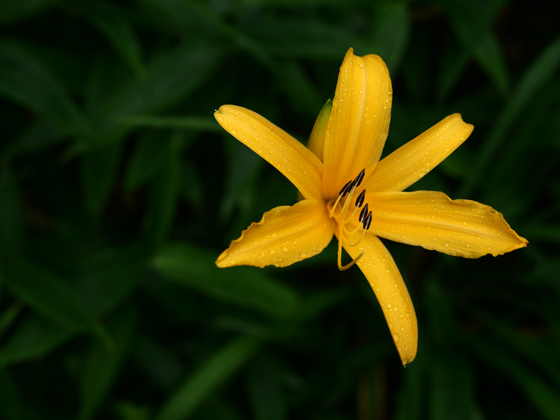 撮影：コムロミホ