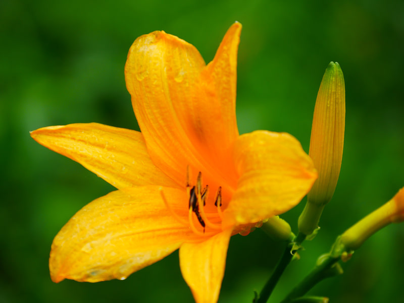 撮影：瀬谷ひかる