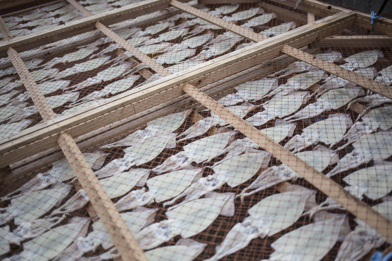 船に揺られて佐渡島に向かい、おにぎり体験などを楽しむ