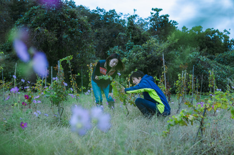 佐渡島で暮らす人々と交流し実際に訪れたときの約束やつながりを作る