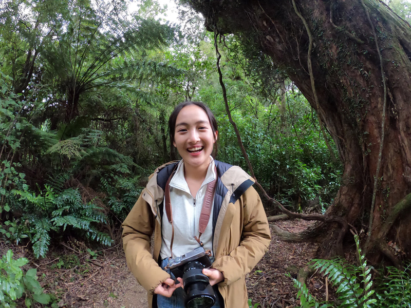 動画撮影の様子