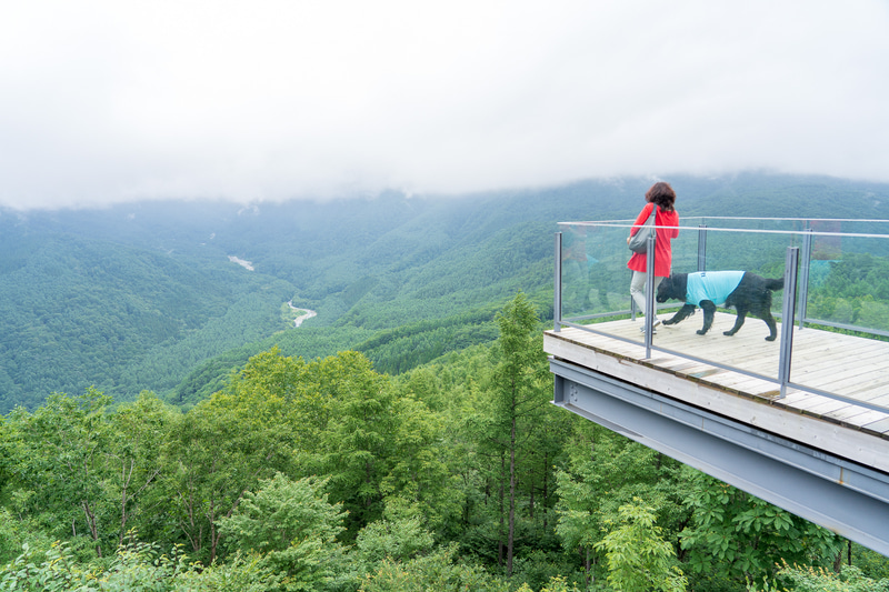 残念ながら山の半分から上が見えませんでした