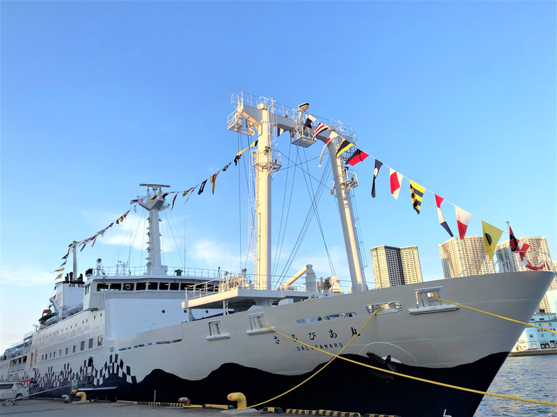 東海汽船は「伊豆大島ゴールドハイキング」特別ツアーを実施する