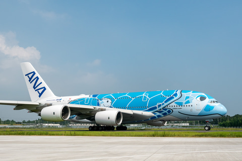 ANA、エアバス A380型機「FLYING HONU」による遊覧飛行実施