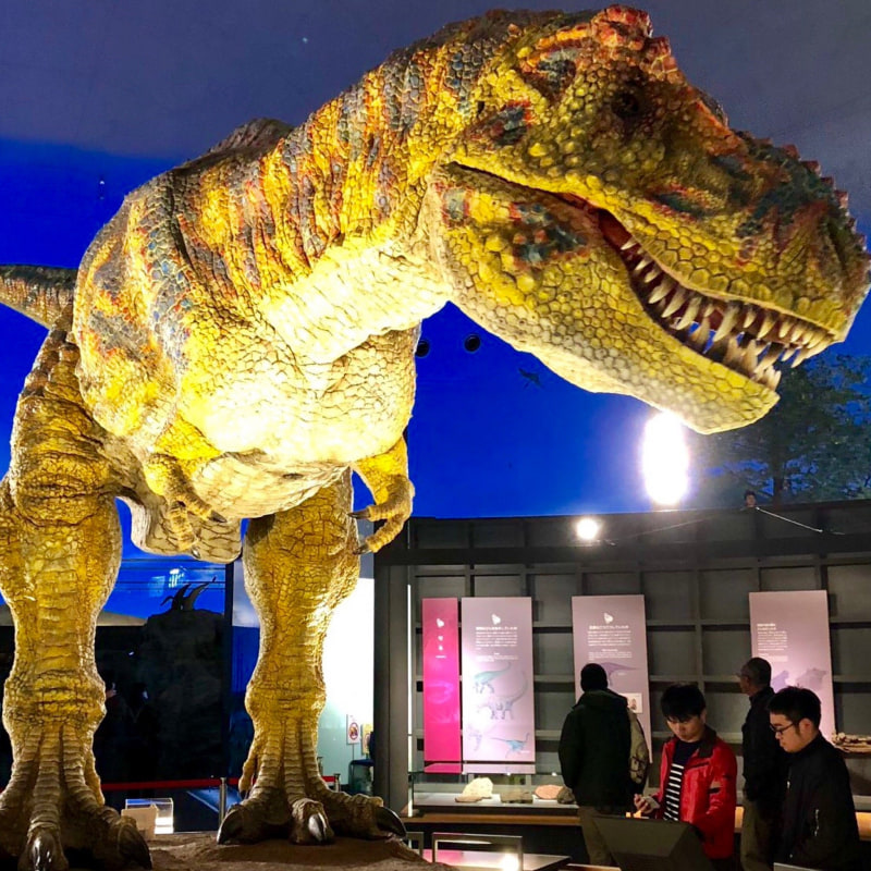 11位 福井県立恐竜博物館（福井県勝山市）