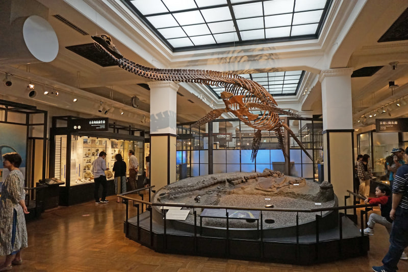 15位 国立科学博物館（東京都台東区）