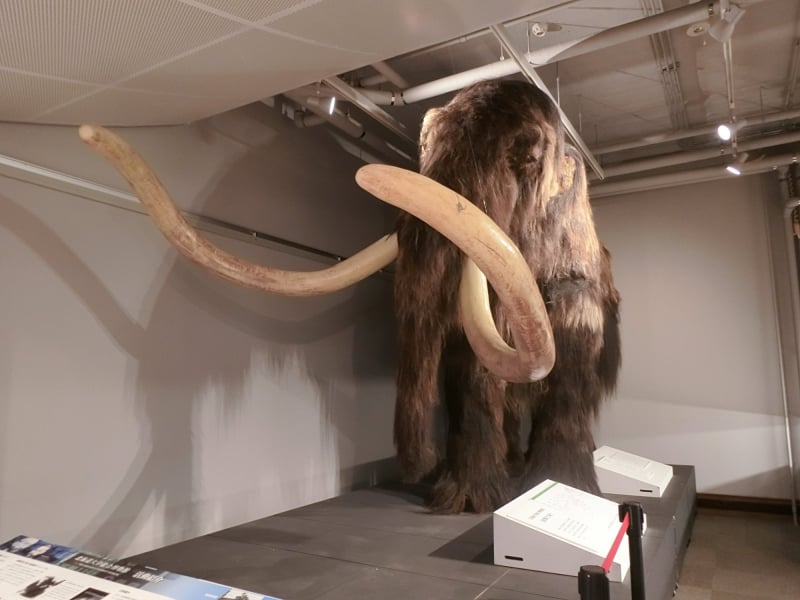 20位 北海道大学総合博物館（北海道札幌市）