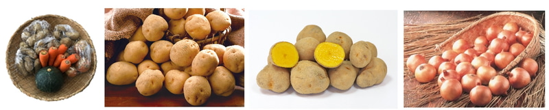 北海道秋野菜セット