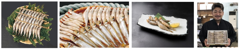 北海道鵡川産「本ししゃも」