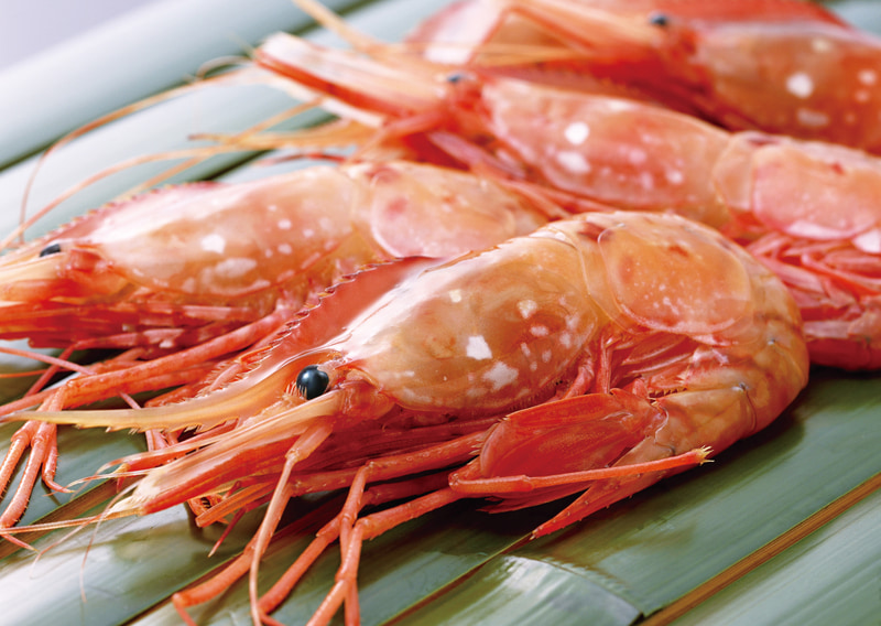 ぼたん海老（ロシア産船上急速凍結品）