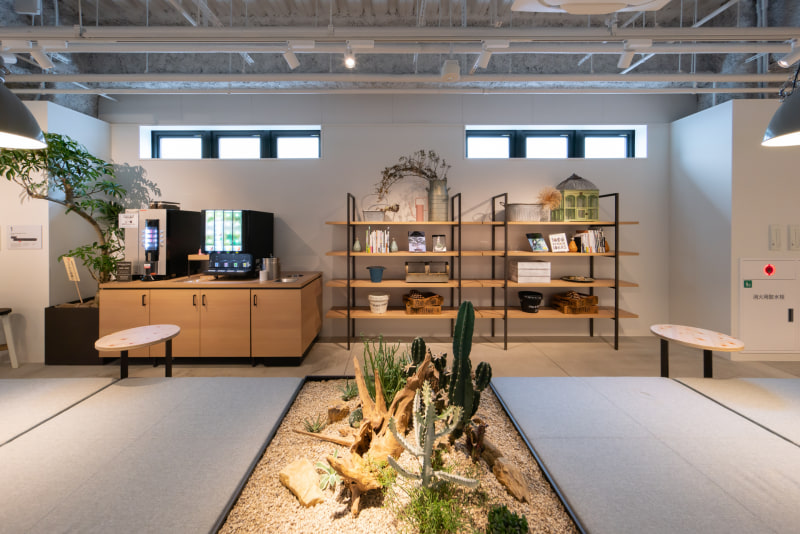 サボテンを主とした緑が飾られている