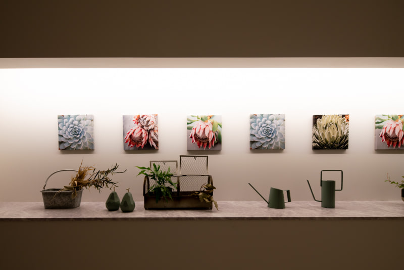 エレベーターホールに植物やアートが並ぶ