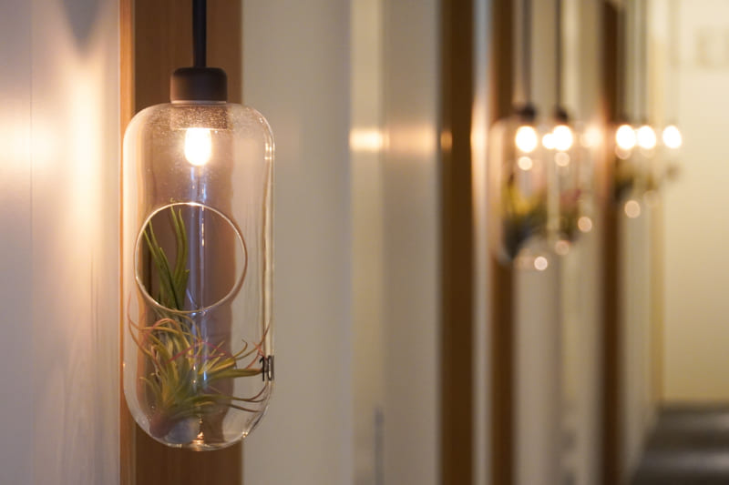 部屋番号が書かれたオブジェにエアープランズが入っている