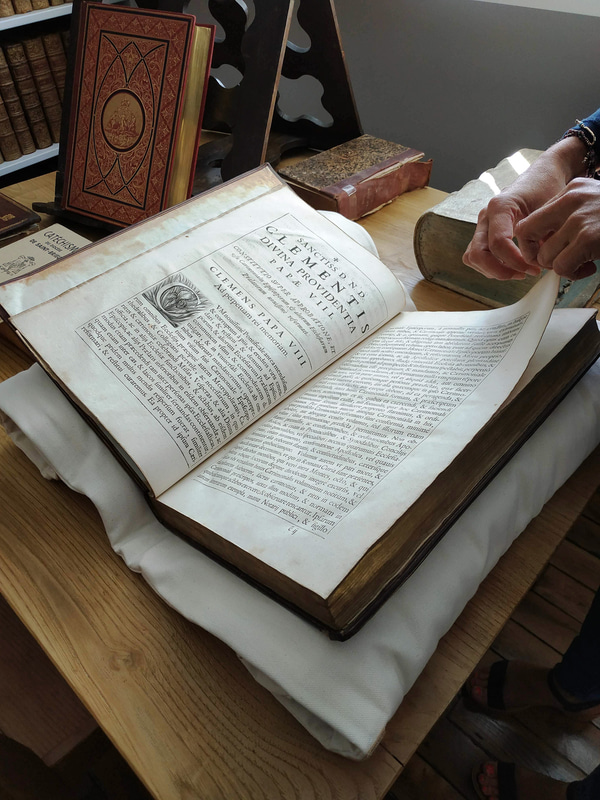 これはラテン語で書かれた本