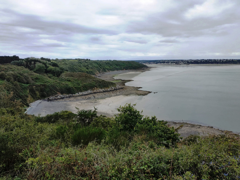 潮干狩りをしている人がたくさんいました