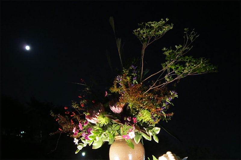 須磨離宮公園から望む月（兵庫県神戸市）