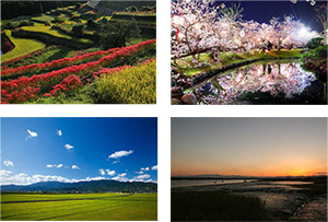 飲み終わった後も四季折々の小城の景色（全8種類）を楽しめる